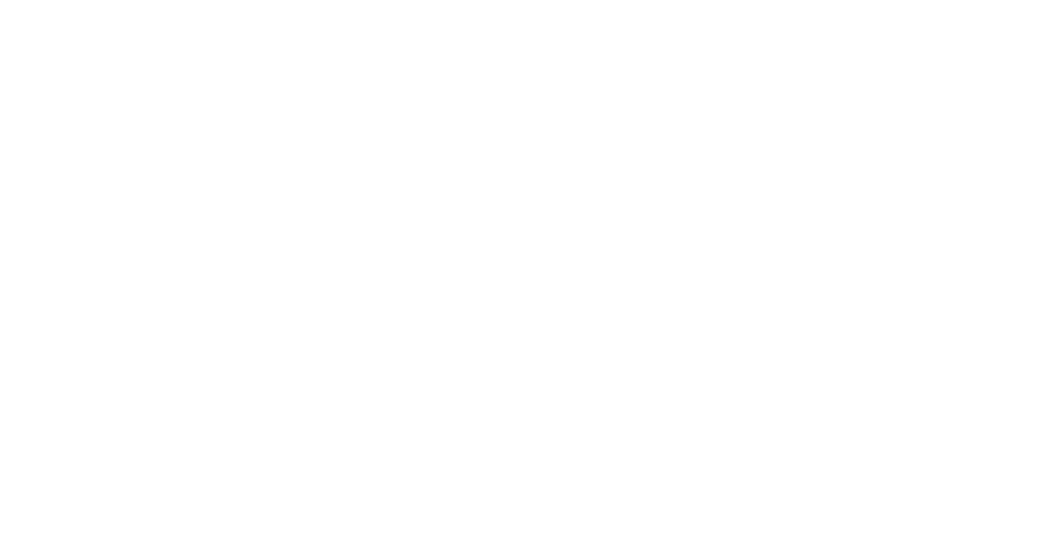 Narmi Logo